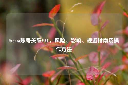 Steam账号关联VAC，风险、影响、规避指南及操作方法