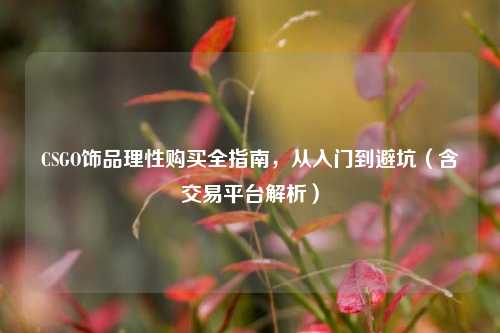 CSGO饰品理性购买全指南，从入门到避坑（含交易平台解析）