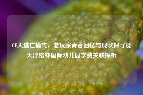 CF大逃亡模式,老玩家青春回忆与现状探寻及天津格林国际幼儿园学费关联探析