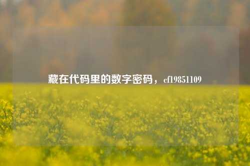 藏在代码里的数字密码,cf19851109