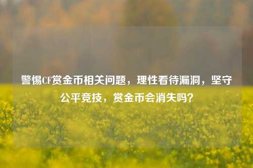 警惕CF赏金币相关问题,理性看待漏洞,坚守公平竞技,赏金币会消失吗?