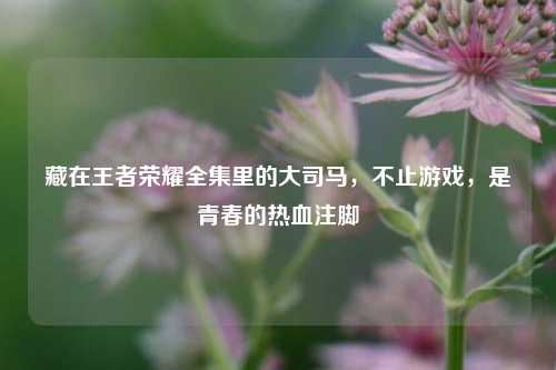 藏在王者荣耀全集里的大司马,不止游戏,是青春的热血注脚