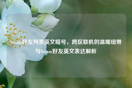 Steam好友列表英文暗号,跨区联机的温暖纽带与Steam好友英文表达解析