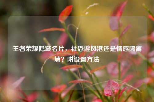 王者荣耀隐藏名片,社恐避风港还是情感隔离墙?附设置方法