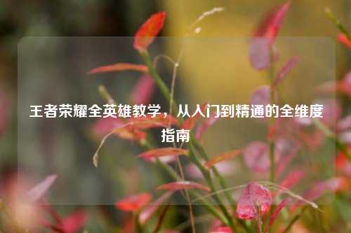 王者荣耀全英雄教学，从入门到精通的全维度指南