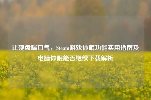 让硬盘喘口气,Steam游戏休眠功能实用指南及电脑休眠能否继续下载解析
