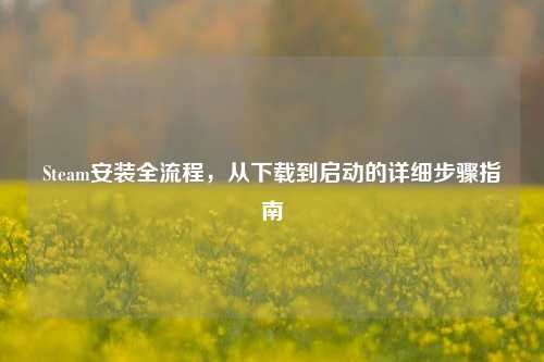 Steam安装全流程，从下载到启动的详细步骤指南