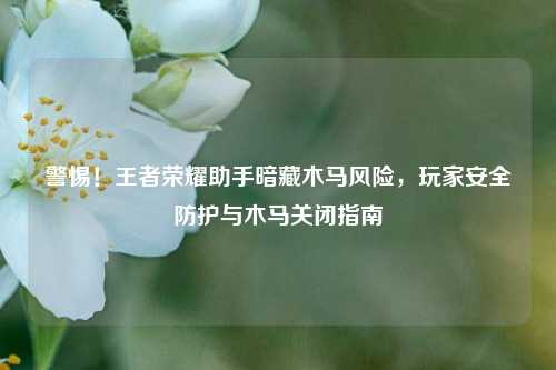 警惕!王者荣耀助手暗藏木马风险,玩家安全防护与木马关闭指南
