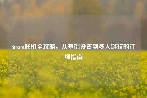 Steam联机全攻略,从基础设置到多人游玩的详细指南