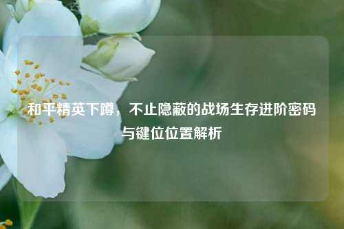 和平精英下蹲,不止隐蔽的战场生存进阶密码与键位位置解析