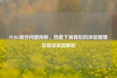 PUBG现存问题探析,热度下滑背后的深层困境及错误原因解析