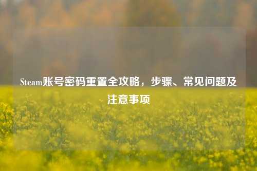 Steam账号密码重置全攻略,步骤、常见问题及注意事项