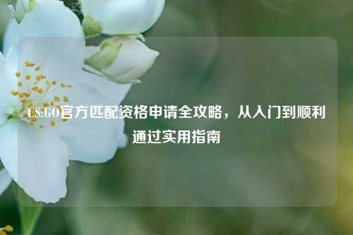 CS:GO官方匹配资格申请全攻略，从入门到顺利通过实用指南