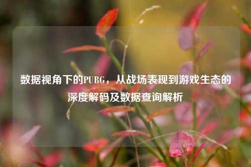 数据视角下的PUBG，从战场表现到游戏生态的深度解码及数据查询解析