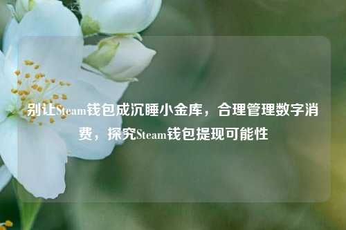 别让Steam钱包成沉睡小金库,合理管理数字消费,探究Steam钱包提现可能性