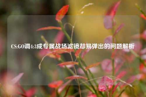 CS:GO调4:3成专属战场滤镜却易弹出的问题解析