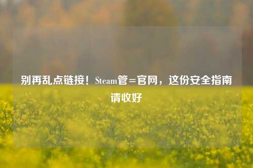 别再乱点链接!Steam管=官网,这份安全指南请收好