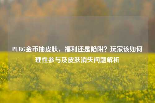 PUBG金币抽皮肤，福利还是陷阱？玩家该如何理性参与及皮肤消失问题解析