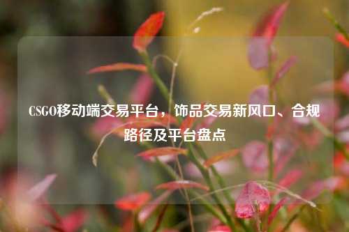 CSGO移动端交易平台，饰品交易新风口、合规路径及平台盘点