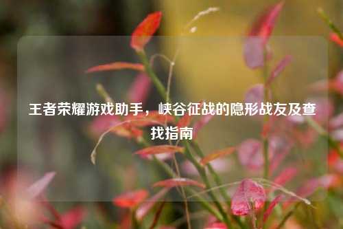 王者荣耀游戏助手,峡谷征战的隐形战友及查找指南