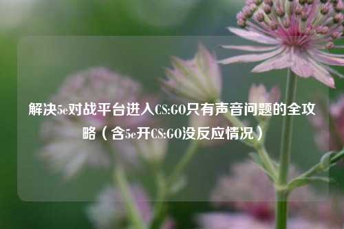 解决5e对战平台进入CS:GO只有声音问题的全攻略（含5e开CS:GO没反应情况）