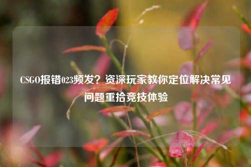 CSGO报错023频发？资深玩家教你定位解决常见问题重拾竞技体验