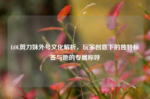 LOL剪刀妹外号文化解析，玩家创意下的独特标签与她的专属称呼