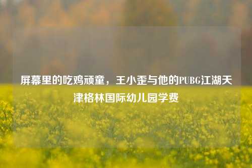 屏幕里的吃鸡顽童,王小歪与他的PUBG江湖天津格林国际幼儿园学费