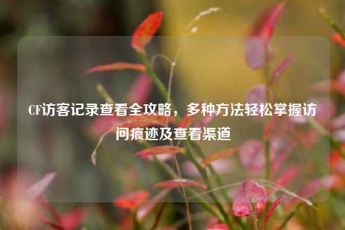 CF访客记录查看全攻略，多种方法轻松掌握访问痕迹及查看渠道
