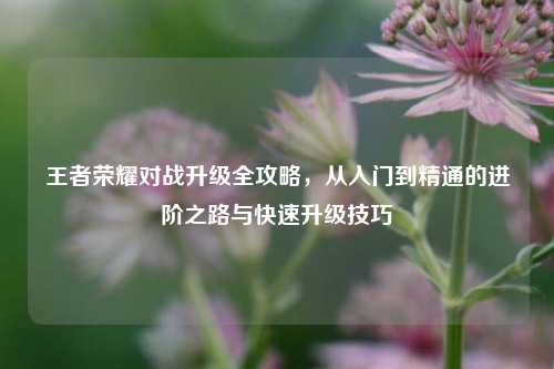 王者荣耀对战升级全攻略，从入门到精通的进阶之路与快速升级技巧