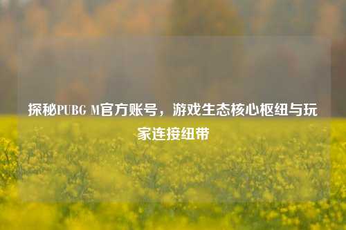 探秘PUBG M官方账号,游戏生态核心枢纽与玩家连接纽带