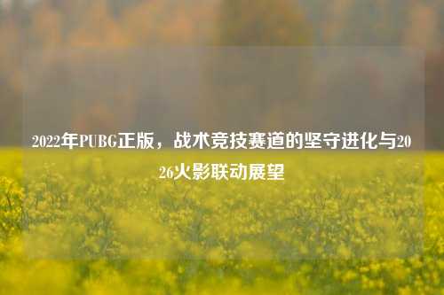 2022年PUBG正版,战术竞技赛道的坚守进化与2026火影联动展望
