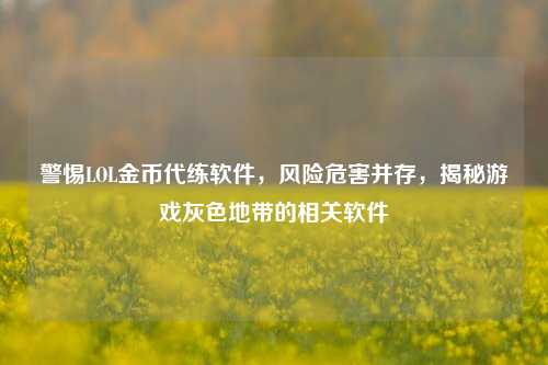警惕LOL金币代练软件,风险危害并存,揭秘游戏灰色地带的相关软件