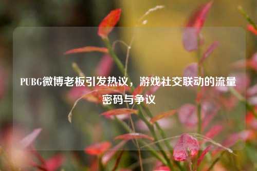 PUBG微博老板引发热议,游戏社交联动的流量密码与争议