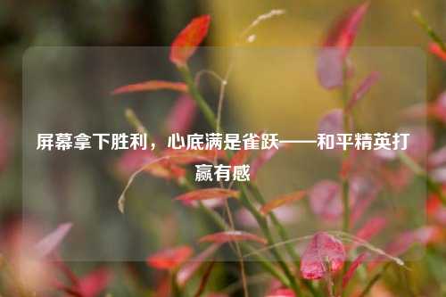 屏幕拿下胜利,心底满是雀跃——和平精英打赢有感