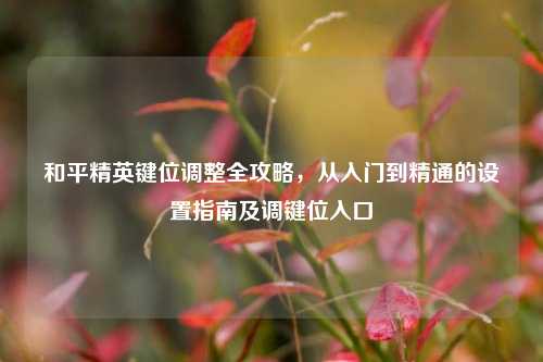 和平精英键位调整全攻略,从入门到精通的设置指南及调键位入口