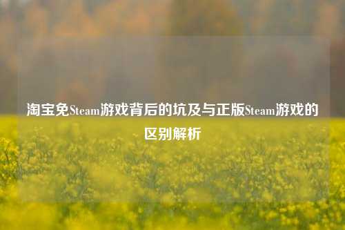 淘宝免Steam游戏背后的坑及与正版Steam游戏的区别解析
