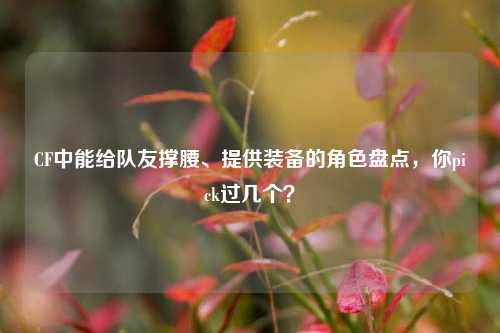 CF中能给队友撑腰、提供装备的角色盘点,你pick过几个?
